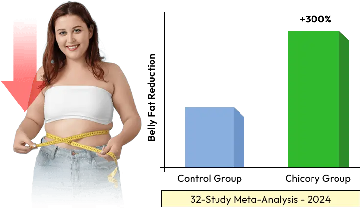 ActivShape review result no.3